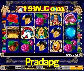 Promoção Relâmpago Pradapg